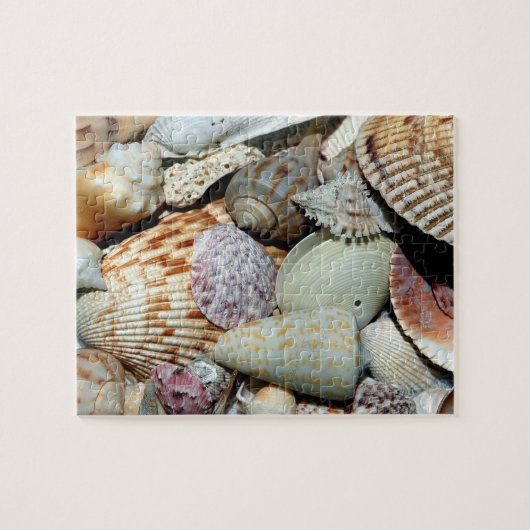 Seashells sammelte sich vom Strand Sanibel Island Puzzle (Horizontal)