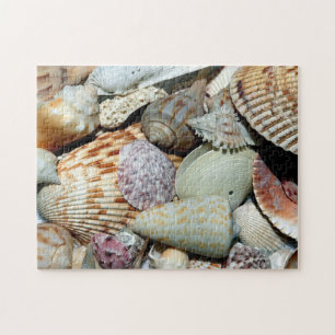 Seashells sammelte sich vom Strand Sanibel Island Puzzle