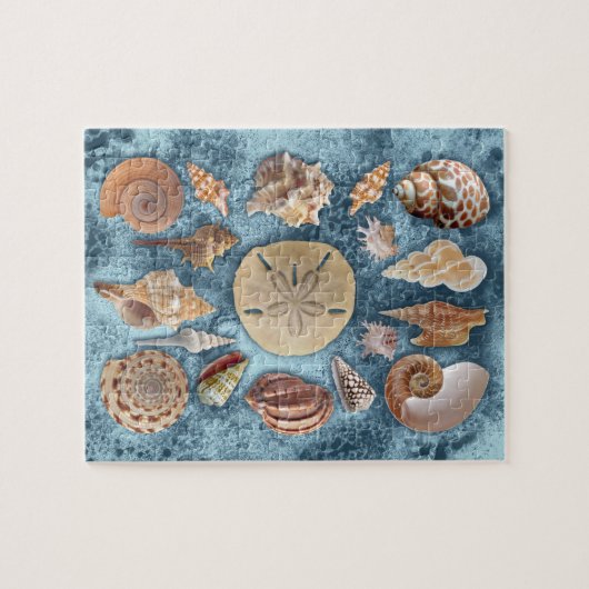 Seashells Sammlung Puzzle (Horizontal)