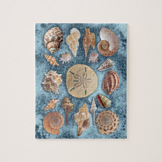Seashells Sammlung Puzzle (Vertikal)