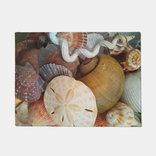 Seashells Sand Dollar Beach Theme Fußmatte (Vorderseite)