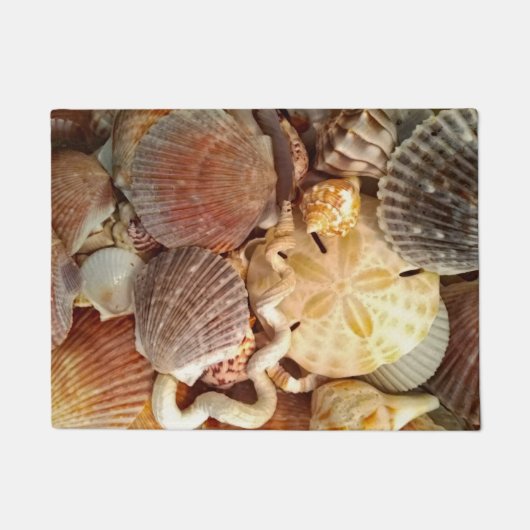 Seashells Sand Dollar Beach Theme Fußmatte (Vorderseite)