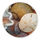 Seashells Sand Dollar Beach Theme Keramikknauf (Vorderseite)