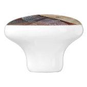 Seashells Sand Dollar Beach Theme Keramikknauf (Seitenansicht)