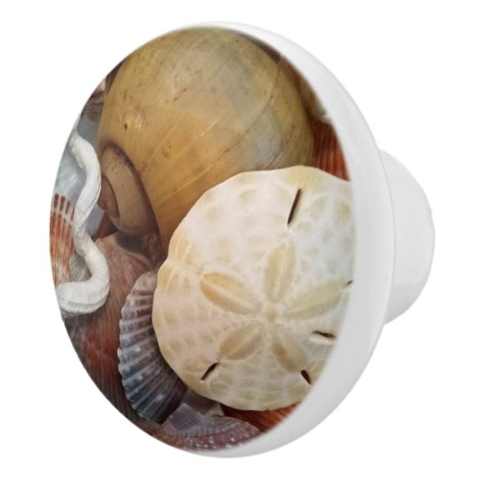 Seashells Sand Dollar Beach Theme Keramikknauf (Rechts)