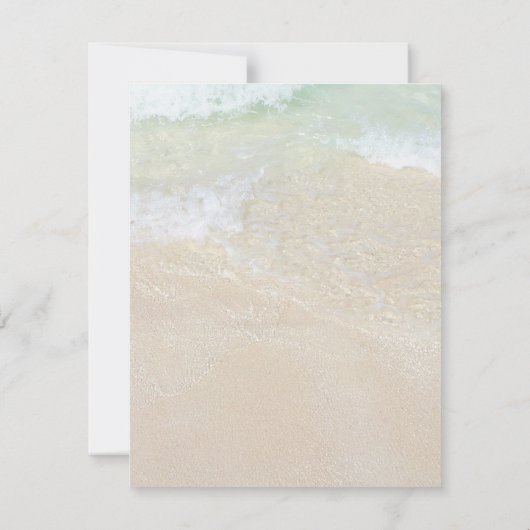 Seashells Sand Dollar Flat Jeden Anlaß Blank Ankündigung (Rückseite)