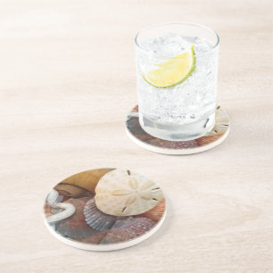 Seashells Sand Dollars Getränkeuntersetzer