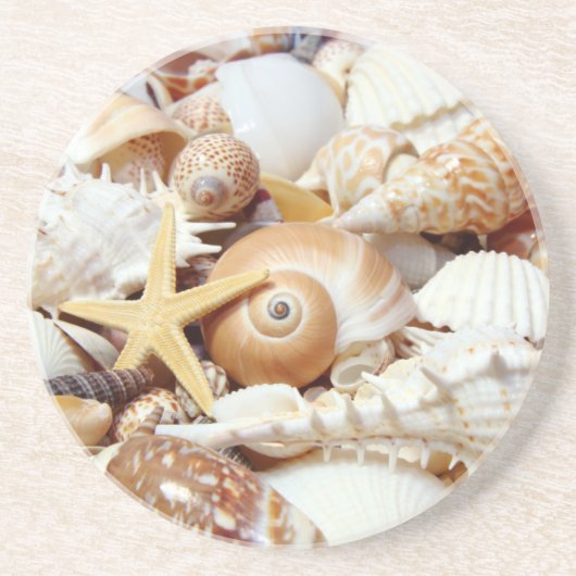 Seashells Sandstein Untersetzer (Vorne)