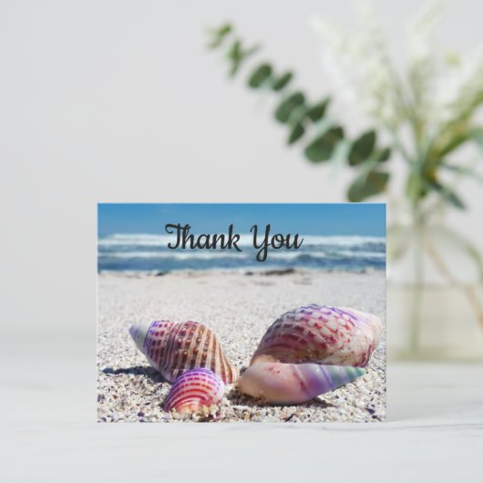 Seashells Sandy Beach Ocean Vielen Dank, Postcard Postkarte (Stehend Vorderseite)