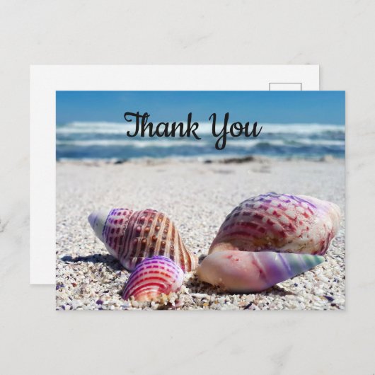Seashells Sandy Beach Ocean Vielen Dank, Postcard Postkarte (Vorne/Hinten)