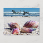 Seashells Sandy Beach Ocean Vielen Dank, Postcard Postkarte (Vorderseite)