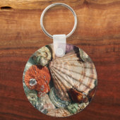 Seashells Schlüsselanhänger (Vorderseite)