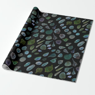 Seashells-schwarzes glattes MattPackpapier Geschenkpapier