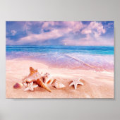 Seashells Sea Beach Poster (Vorne)