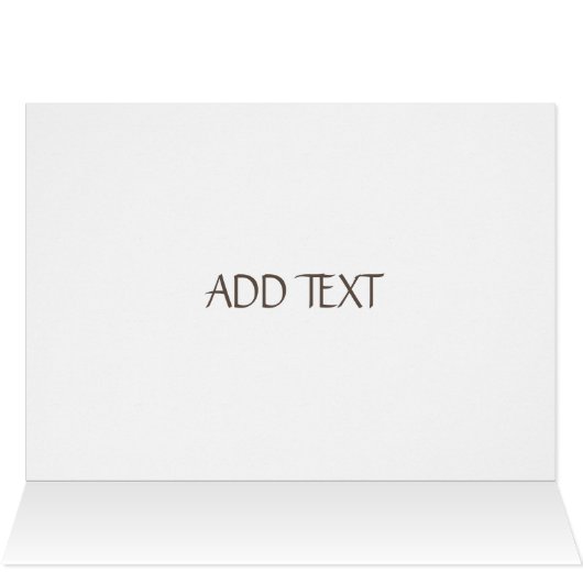 Seashells, Sea, String Lights Script (Innenansicht Horizontal (Oben))