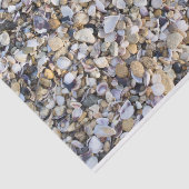 Seashells Seidenpapier (Ausschnitt)