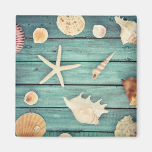 Seashells Selection Magnet