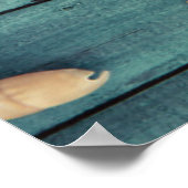 Seashells Selection Poster (Ecke)