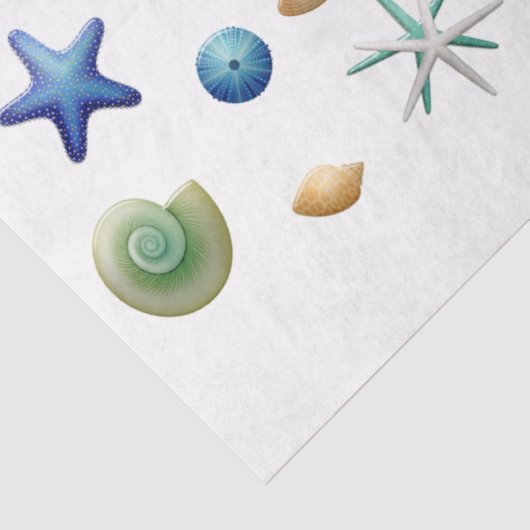 Seashells Set Decoupage Tissue Paper Seidenpapier (Ausschnitt)