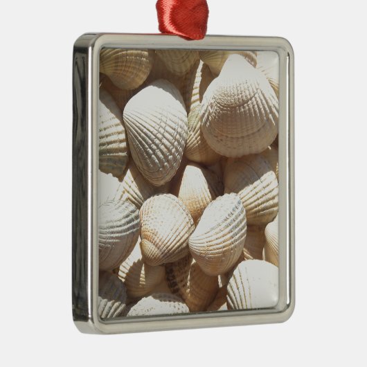 Seashells Silbernes Ornament (Rechts)