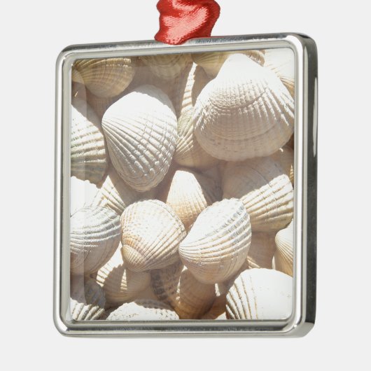 Seashells Silbernes Ornament (Links)