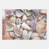 Seashells Sketch Ocean Nautical Beach Decoupage Geschenkpapier Set (Vorderseite 2)