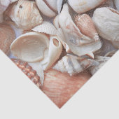 Seashells Sketch Ocean Nautical Beach Decoute Seidenpapier (Ausschnitt)