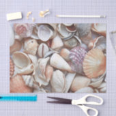Seashells Sketch Ocean Nautical Beach Decoute Seidenpapier (Handwerk)