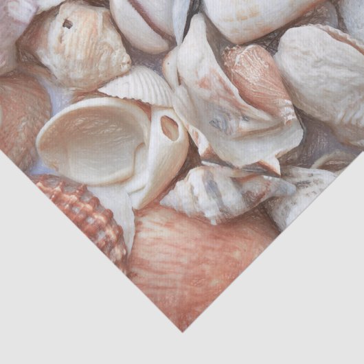 Seashells Sketch Ocean Nautical Beach Decoute Seidenpapier (Ausschnitt)