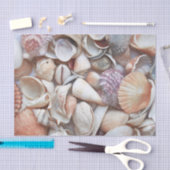 Seashells Sketch Ocean Nautical Beach Decoute Seidenpapier (Handwerk)