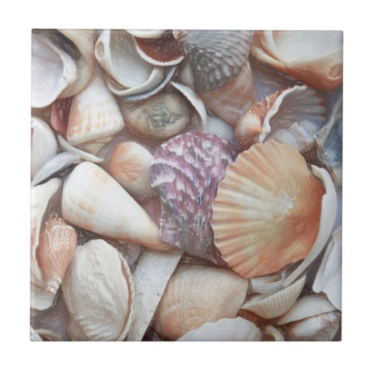 Seashells Sketch Ocean Nautical Beach Thema Fliese (Vorderseite)