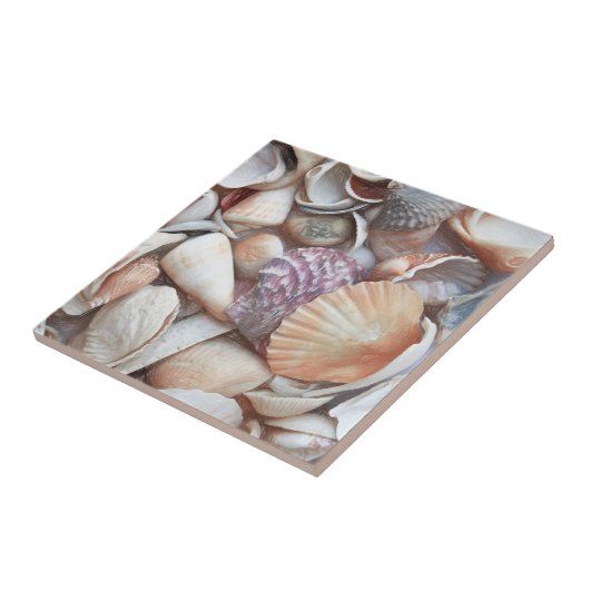 Seashells Sketch Ocean Nautical Beach Thema Fliese (Seite)