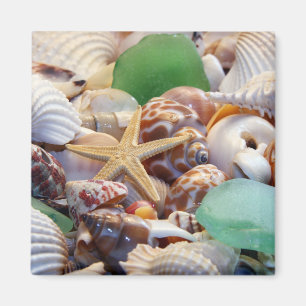 Seashells Starfish & Beach Glass Magnet