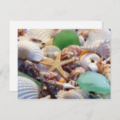 Seashells Starfish & Beach Glass Postcard Postkarte (Vorne/Hinten)