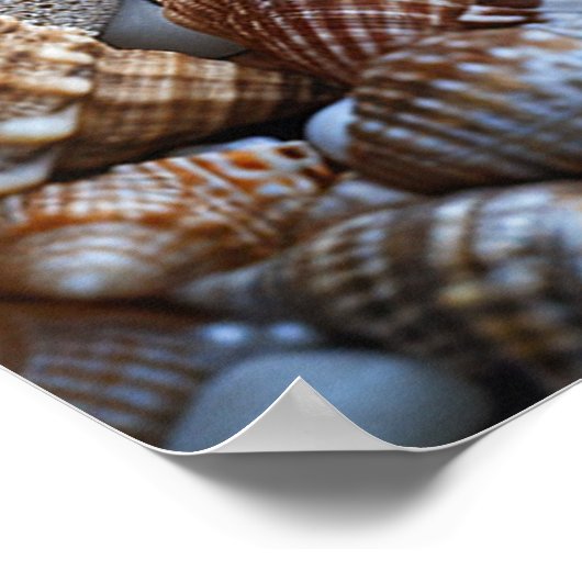 Seashells Starfish Pearls Orange Seepferd Sand Poster (Ecke)