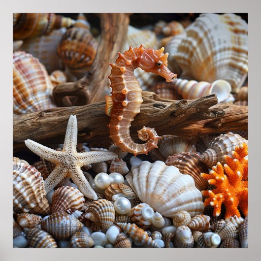 Seashells Starfish Pearls Orange Seepferd Sand Poster (Vorne)