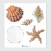Seashells Starfish Sand Dollar Junonia Lions Paw Aufkleber (Blatt)