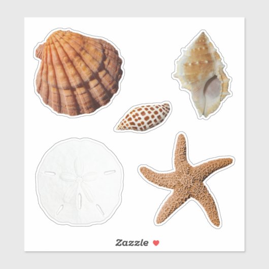 Seashells Starfish Sand Dollar Junonia Lions Paw Aufkleber (Blatt)