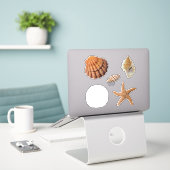 Seashells Starfish Sand Dollar Junonia Lions Paw Aufkleber (Laptop auf Schreibtisch)
