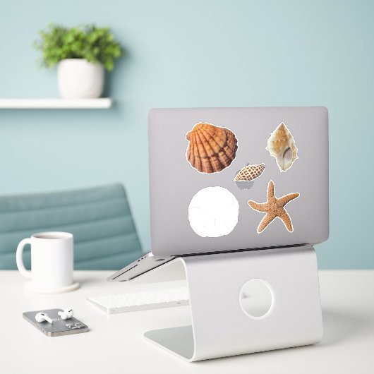 Seashells Starfish Sand Dollar Junonia Lions Paw Aufkleber (Laptop auf Schreibtisch)