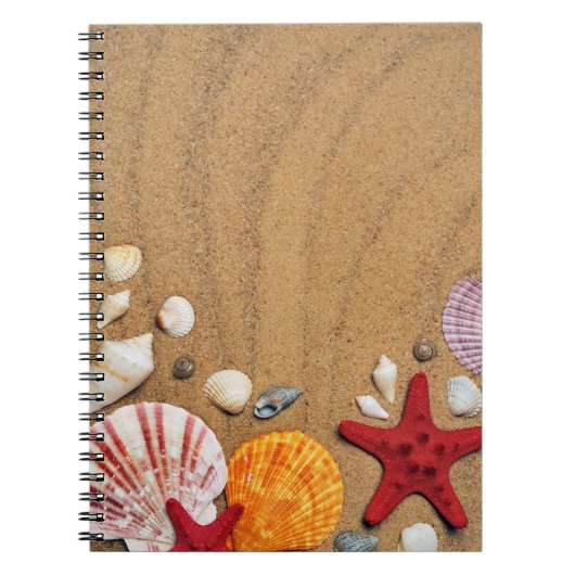 Seashells Starfish Sandy Stone Untersetzer Notizblock (Vorderseite)