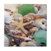 Seashells & Starfish Tile Fliese (Vorderseite)