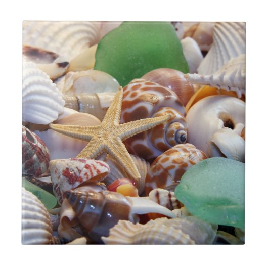 Seashells & Starfish Tile Fliese (Vorderseite)