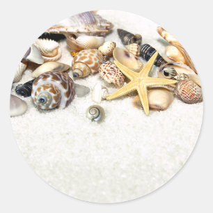Seashells Stickers