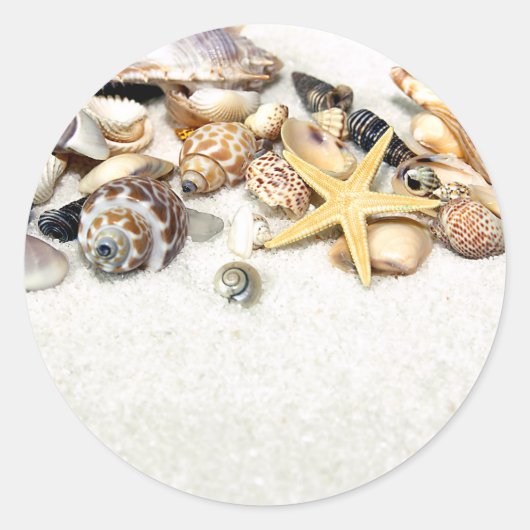 Seashells Stickers (Vorderseite)