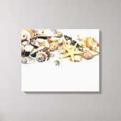 Seashells Stretched Canvas Print Leinwanddruck (Vorderseite)
