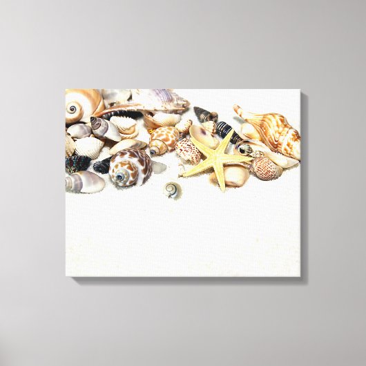 Seashells Stretched Canvas Print Leinwanddruck (Vorderseite)