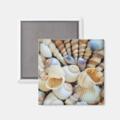 Seashells Summer Holiday Kühlschrank Magnet (Vorderseite/Rückseite)