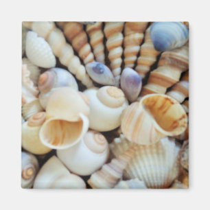 Seashells Summer Holiday Kühlschrank Magnet