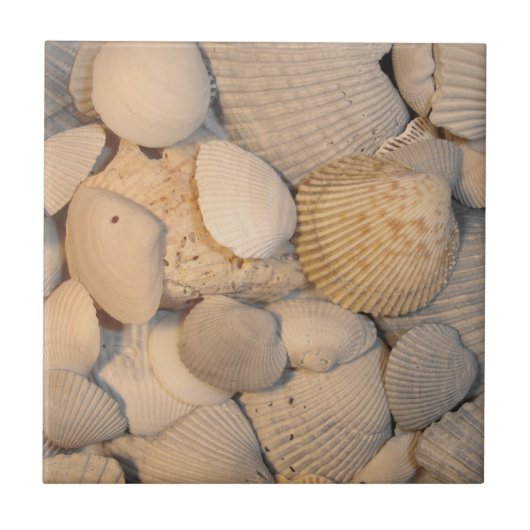 Seashells Tile Fliese (Vorderseite)